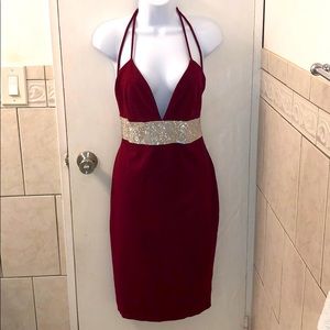 Windsor Burgundy Fitted Dress with Bling!